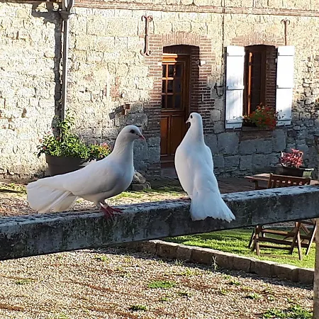 La Ferme D'herigny La Belliere