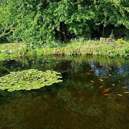 La Ferme D'herigny Bed & Breakfast